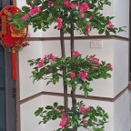 cây hoa đỗ quyên giả đẹp giống thật trang trí 